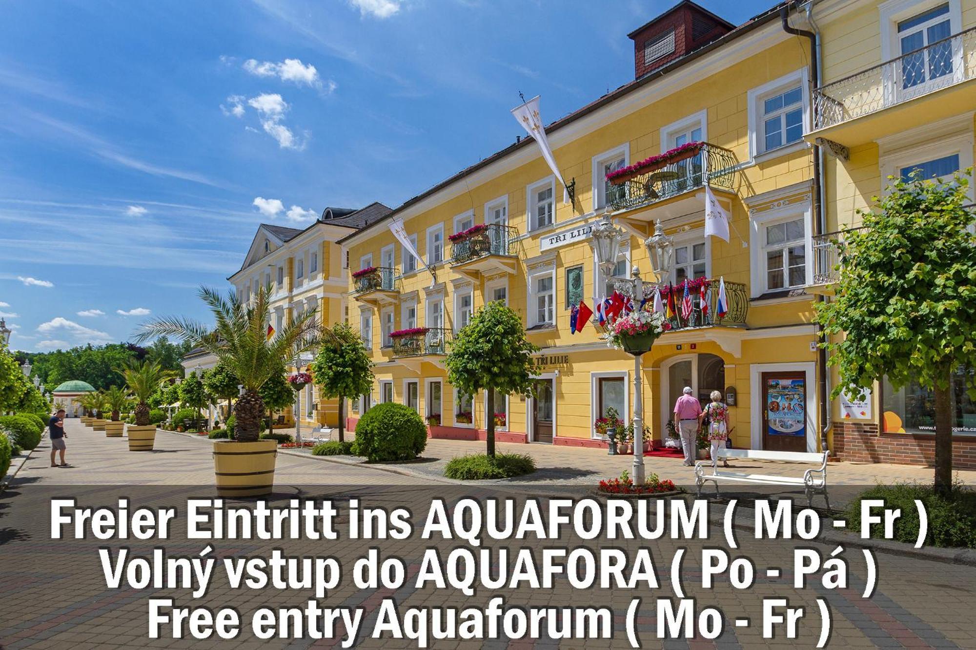 Hotel Three Lilies Inkl Aquaforum Františkovy Lázně 외부 사진